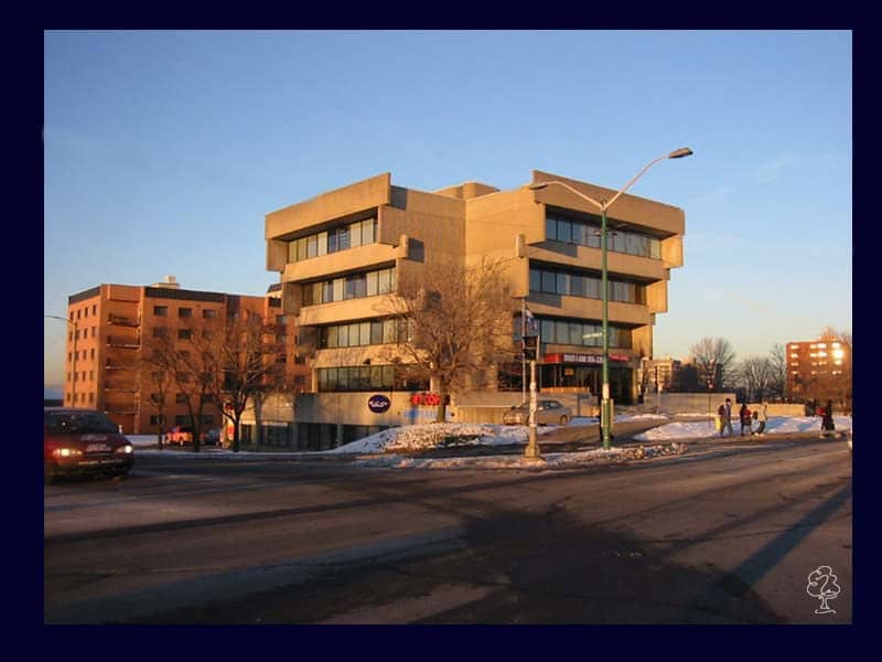 Immeubles à revenus